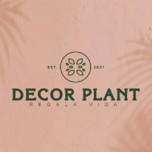 Decor Plant